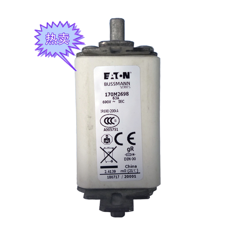 快速熔斷器170M2698（63A）