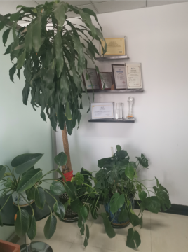 品牌授權(quán)證書展示區(qū)