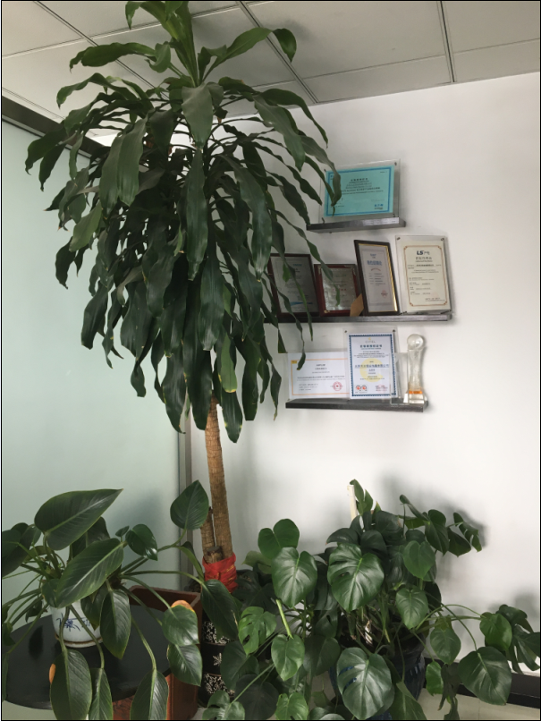 品牌授權證書展示區(qū) 品牌授權證書展示區(qū)